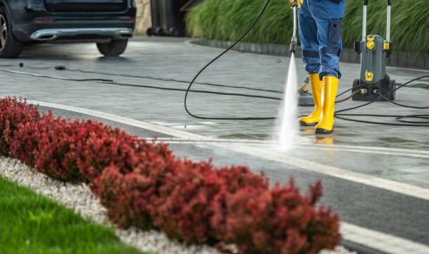Best Pressure Washing Siding  in Delta Junction, AK